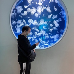 留言者的頭像