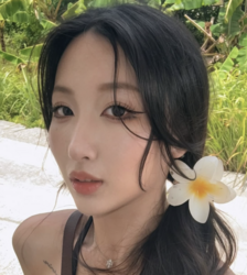 泡泡 的的頭像