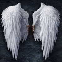 wlo194751955953 的頭像